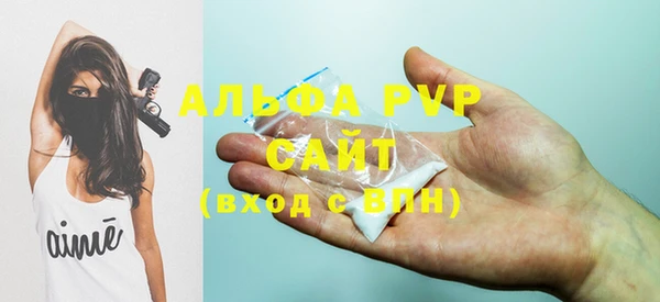 ECSTASY Новозыбков