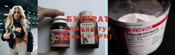 прущие грибы Новодвинск