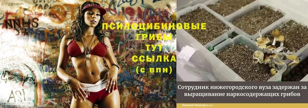 a pvp Арсеньев
