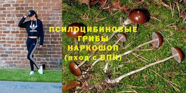 ECSTASY Новозыбков
