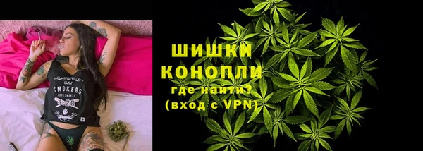 прущие грибы Новодвинск